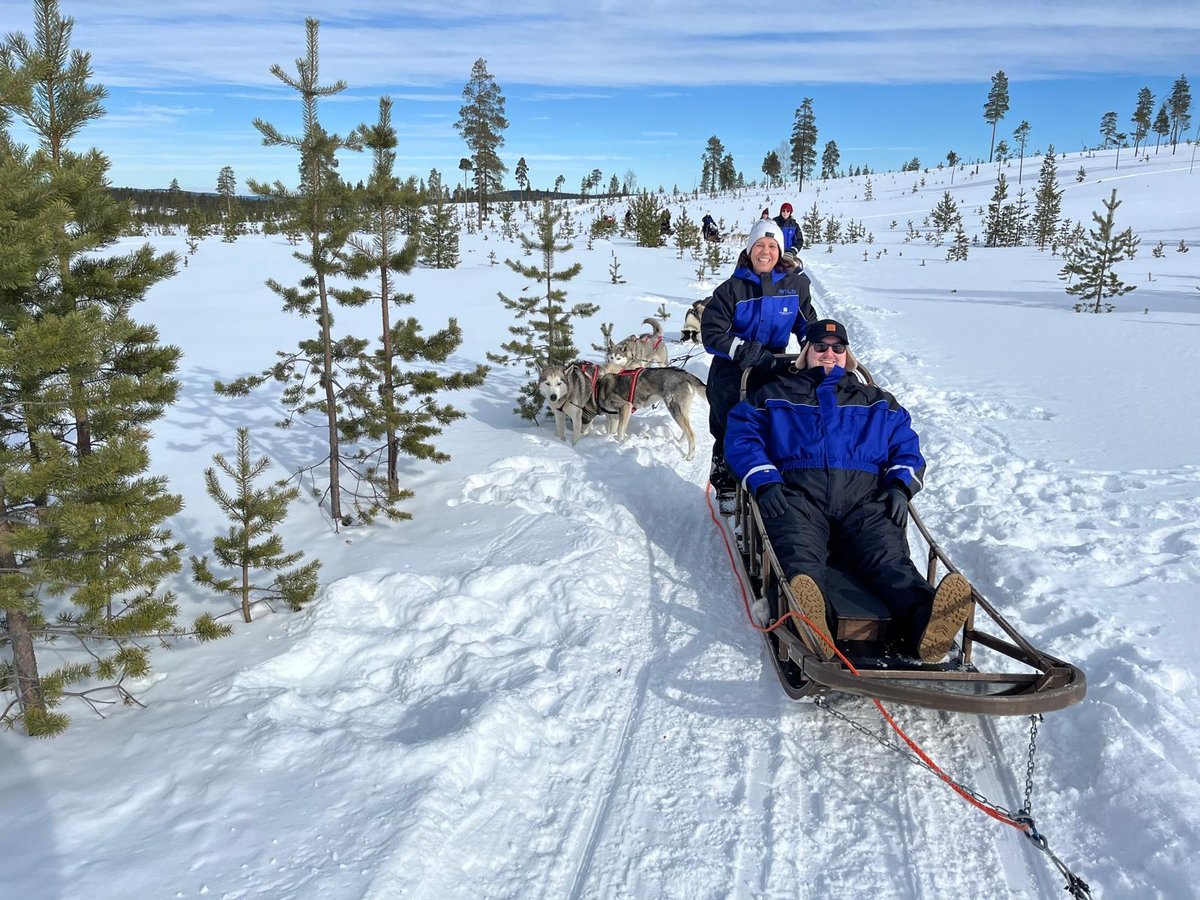 dogsled